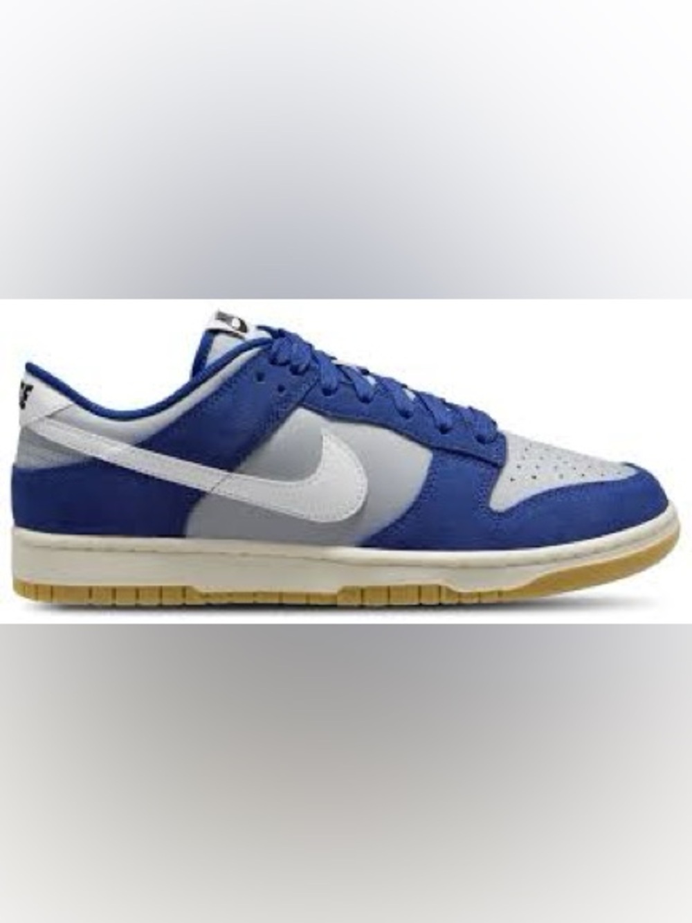 Nike Low-Top Skate Shoe in Blue and White with Gum Sole